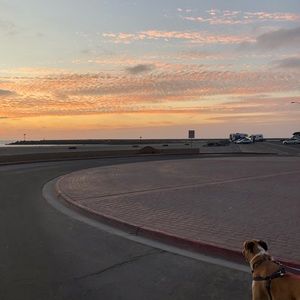 Meet your Posher, Torrey